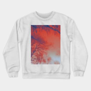 Reflect on this Crewneck Sweatshirt